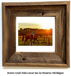 horse trail rides near me in Monroe, Michigan